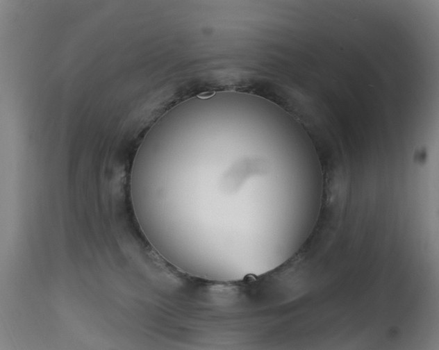 X0000112500279200908241356