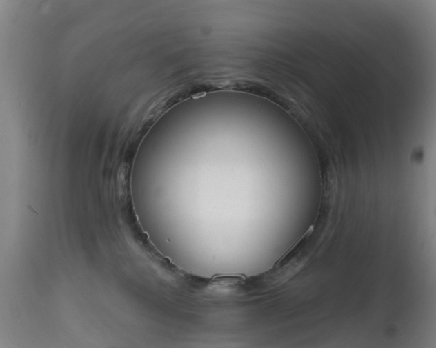 X0000112500280200908241356