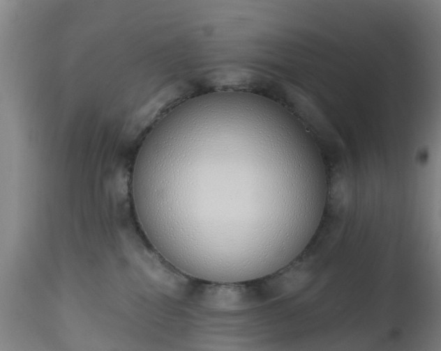 X0000112500282200908241356