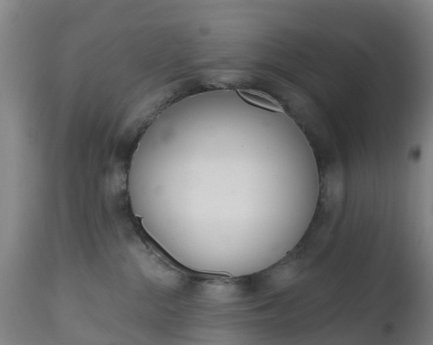 X0000112500284200908241356