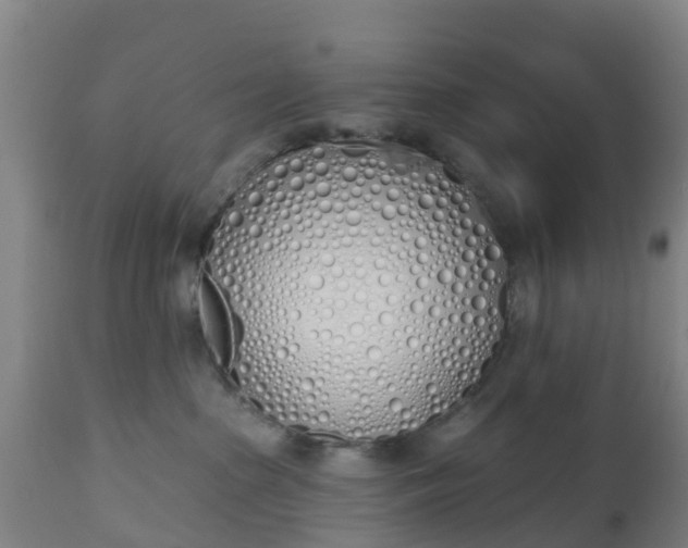 X0000112500285200908241356