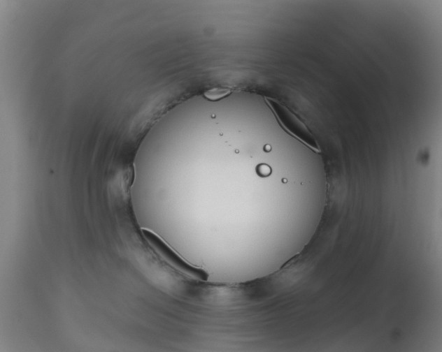 X0000112500286200908241357