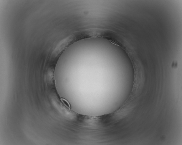 X0000112500288200908241357