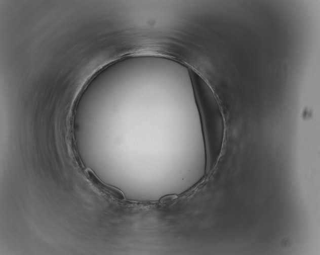 X0000112500289200908241356