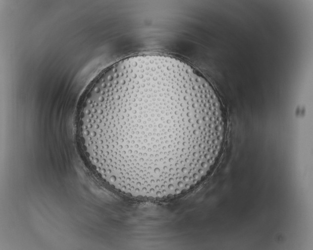 X0000112500290200908241356