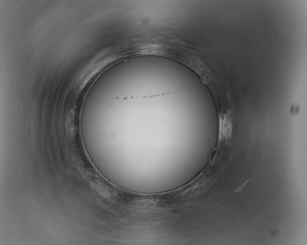 X0000112500291200908241356