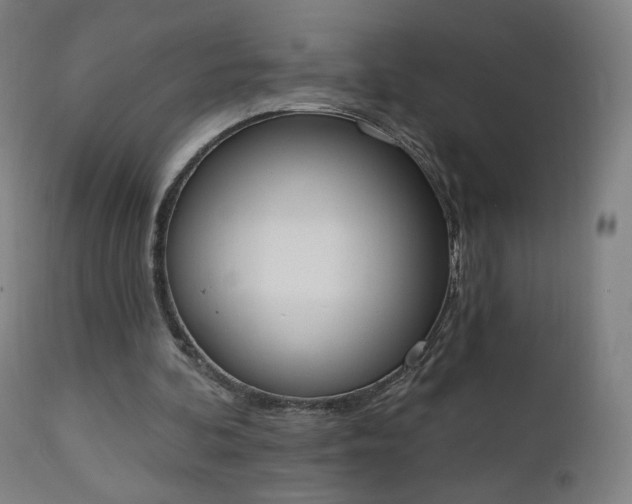 X0000112500292200908241356