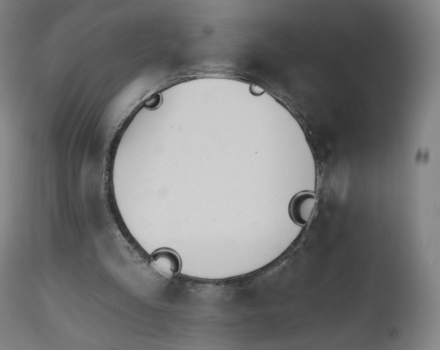 X0000112500293200908241356