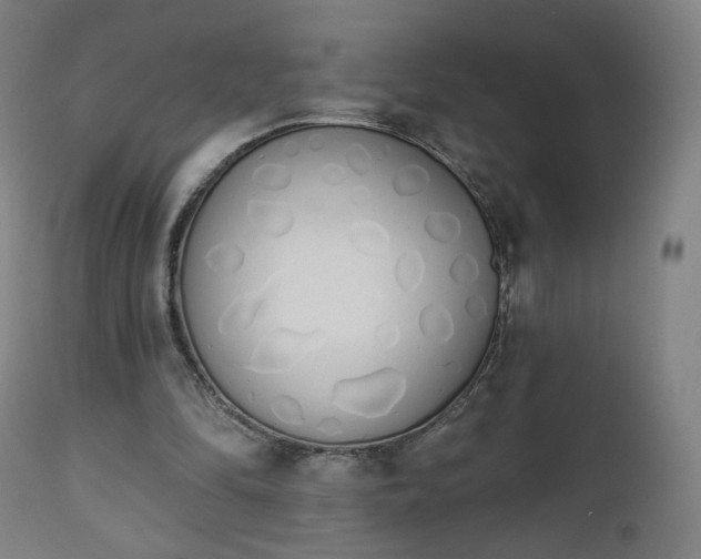 X0000112500294200908241356