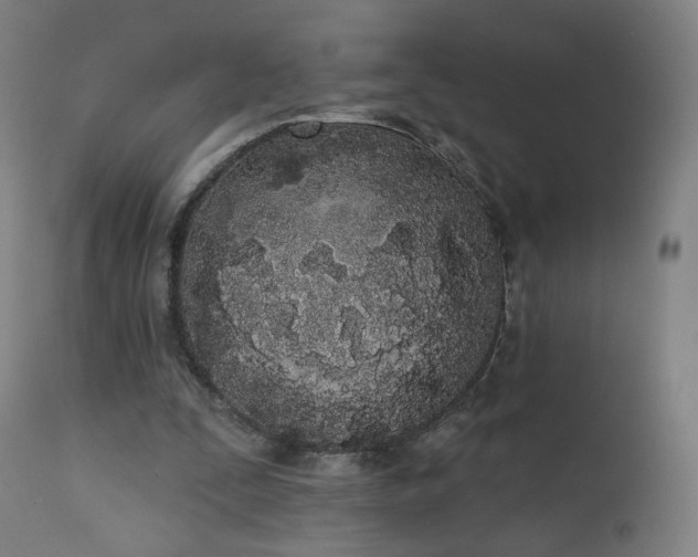 X0000112500295200908241356