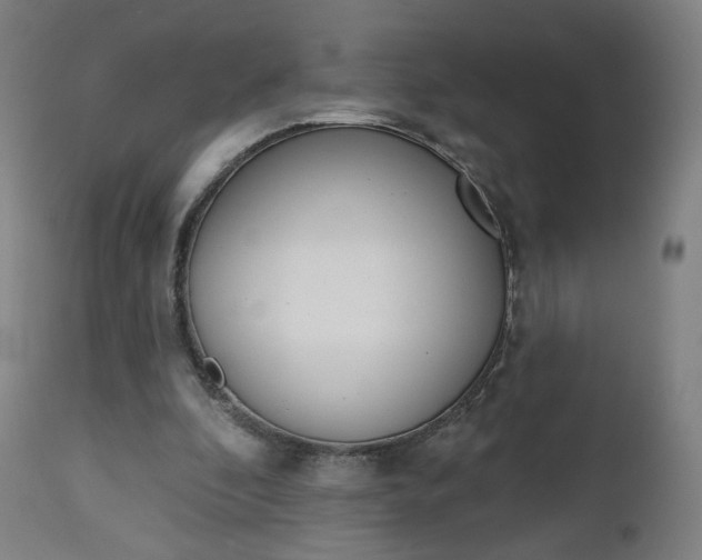 X0000112500296200908241356