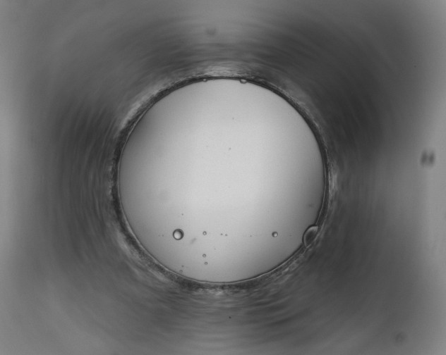 X0000112500297200908241356