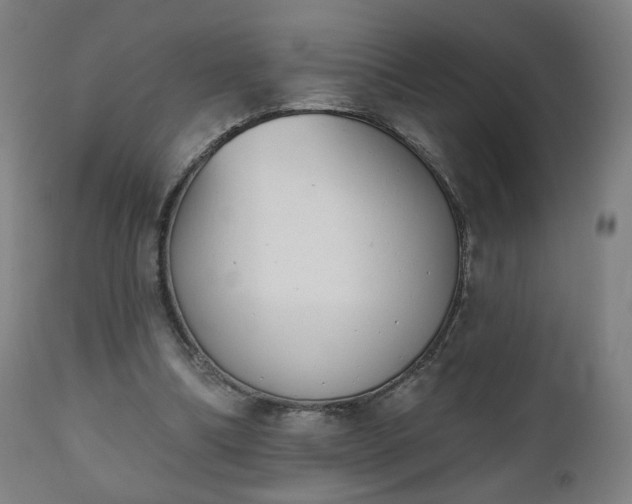 X0000112500298200908241356