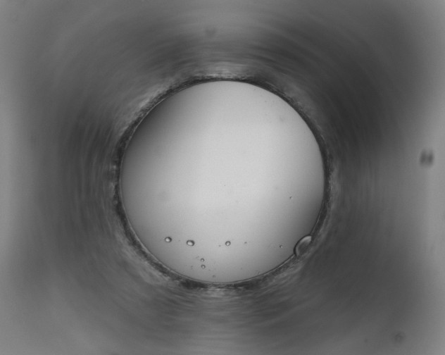 X0000112500305200908241356