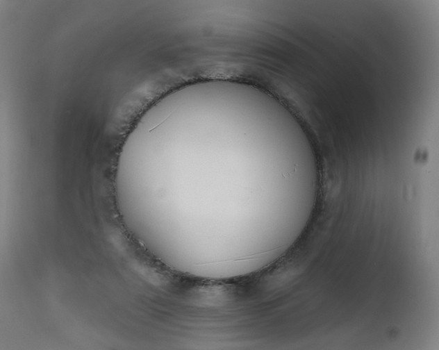 X0000112500307200908241356