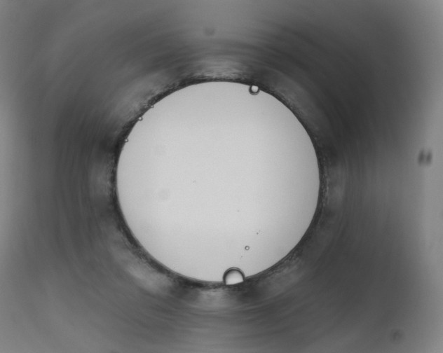 X0000112500309200908241356