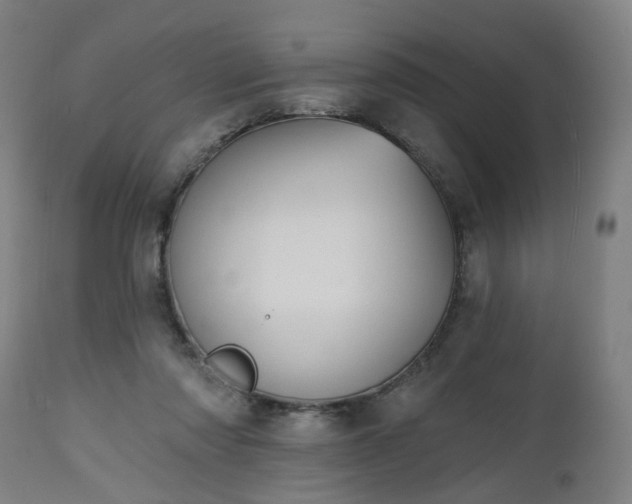 X0000112500310200908241356