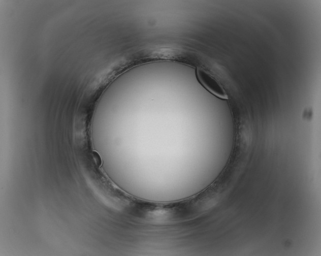 X0000112500312200908241356