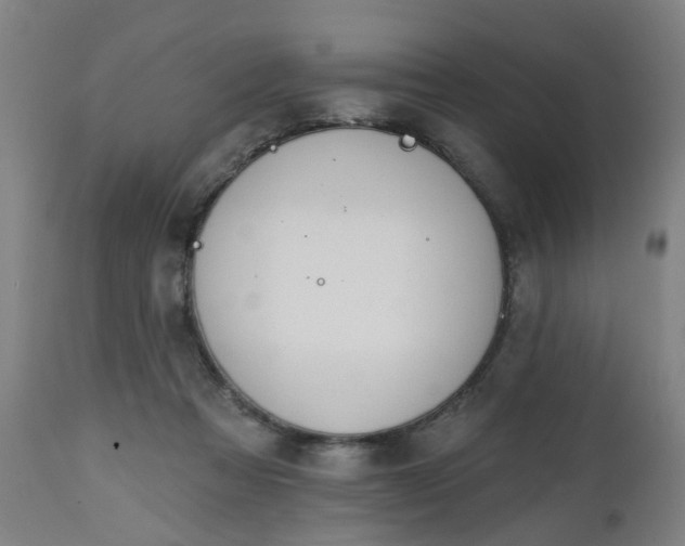 X0000112500313200908241356