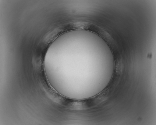 X0000112500314200908241356