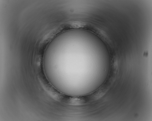 X0000112500315200908241356