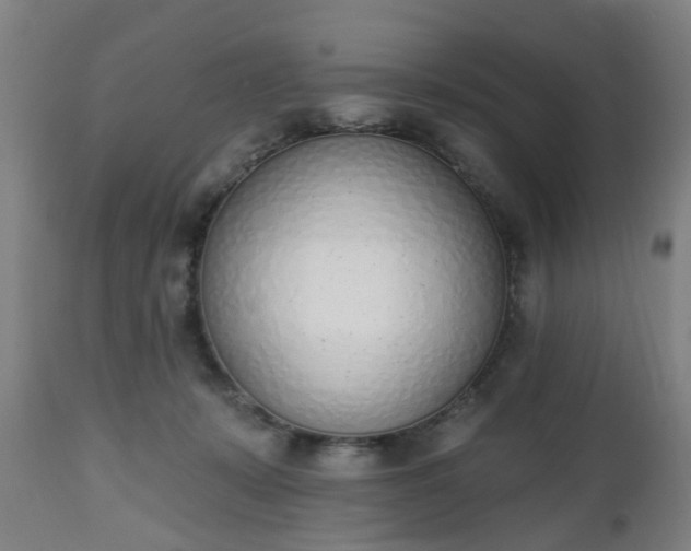 X0000112500319200908241355