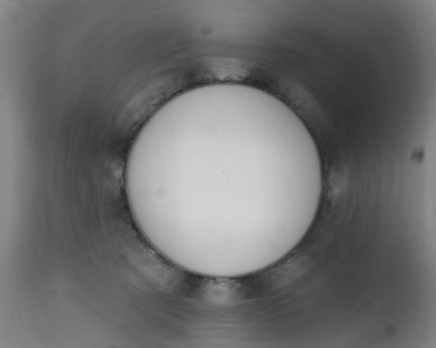 X0000112500321200908241355