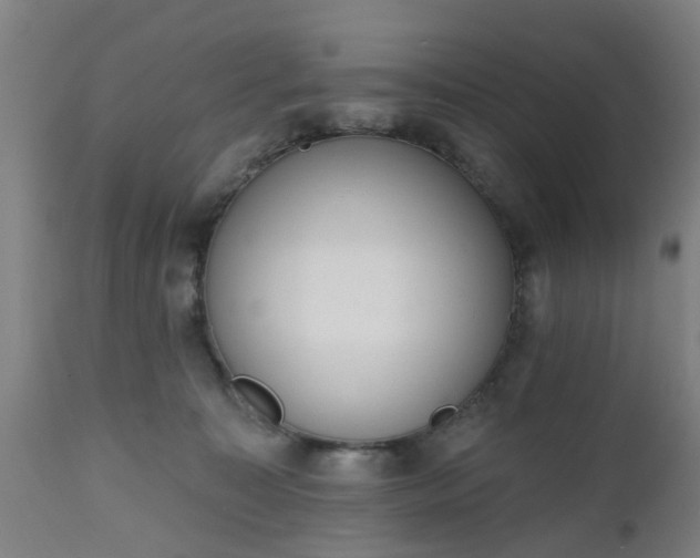 X0000112500323200908241355