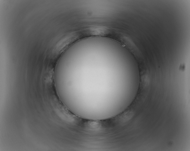 X0000112500325200908241355