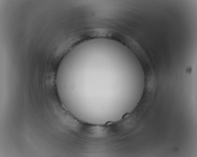 X0000112500326200908241355