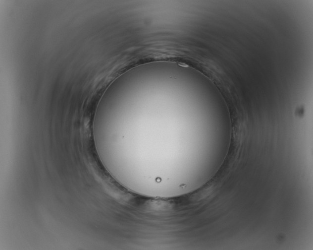 X0000112500327200908241355