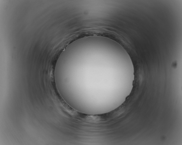 X0000112500328200908241355