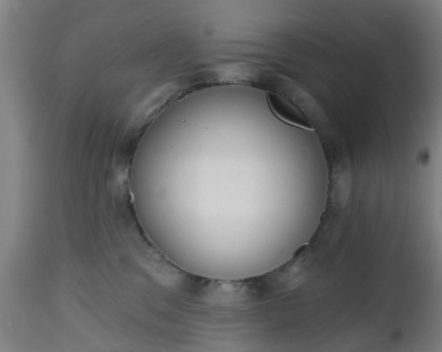 X0000112500329200908241355