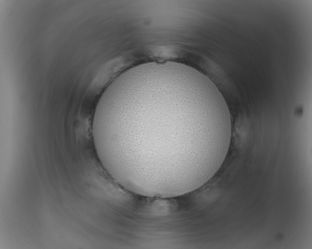 X0000112500330200908241355