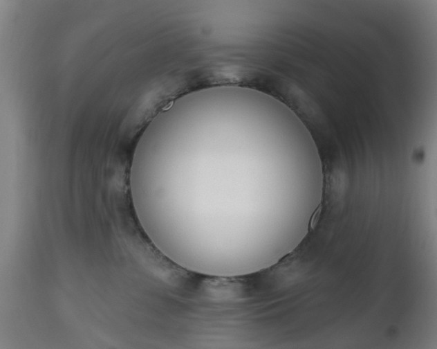 X0000112500331200908241355