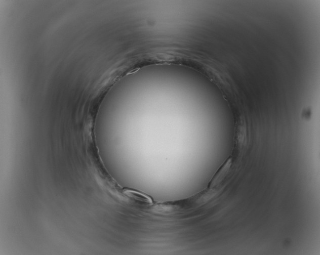 X0000112500332200908241355