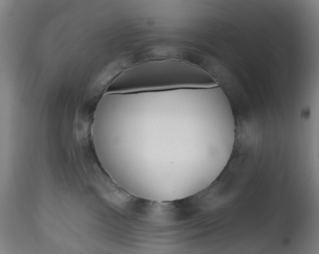 X0000112500333200908241355