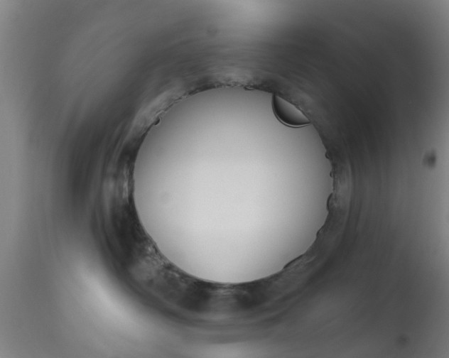 X0000112500334200908241355