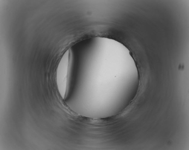 X0000112500336200908241355