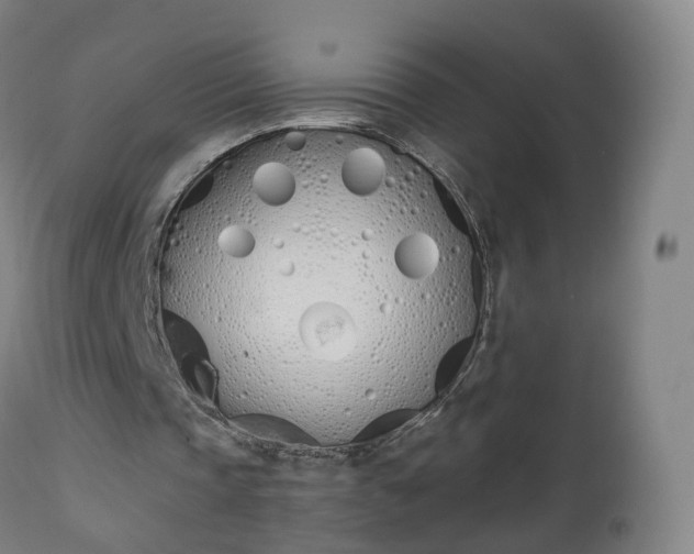 X0000112500337200908241354