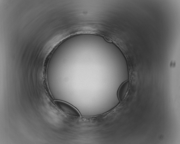 X0000112500338200908241354