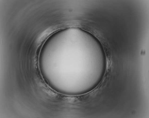 X0000112500339200908241354