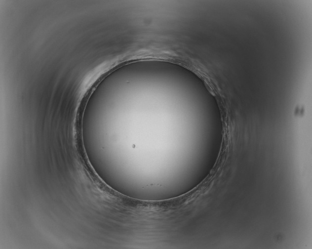 X0000112500340200908241354