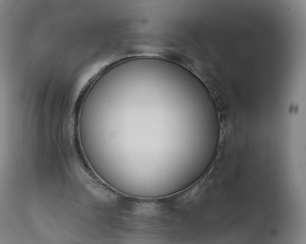 X0000112500342200908241354