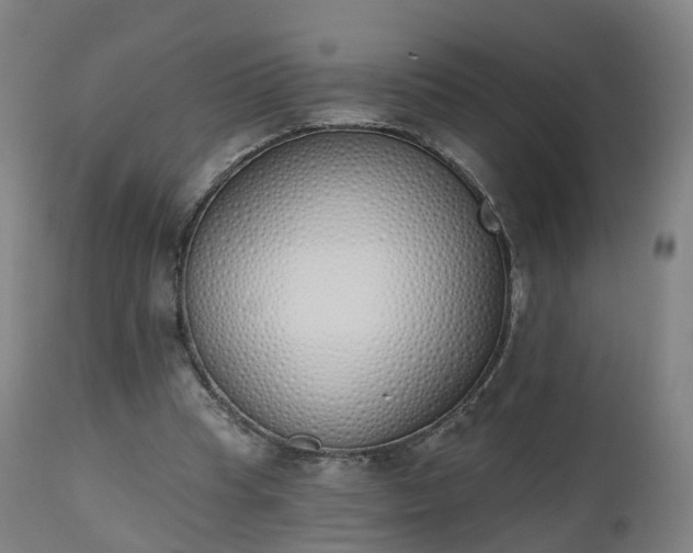 X0000112500345200908241355