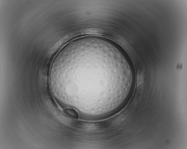 X0000112500349200908241355