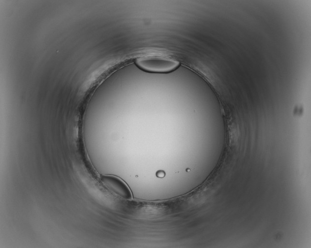 X0000112500350200908241355