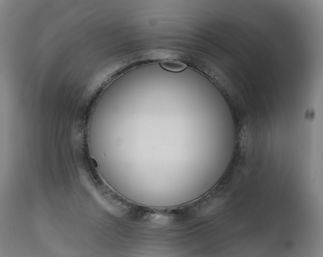 X0000112500352200908241355