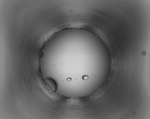 X0000112500354200908241355