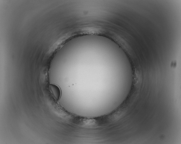 X0000112500355200908241355